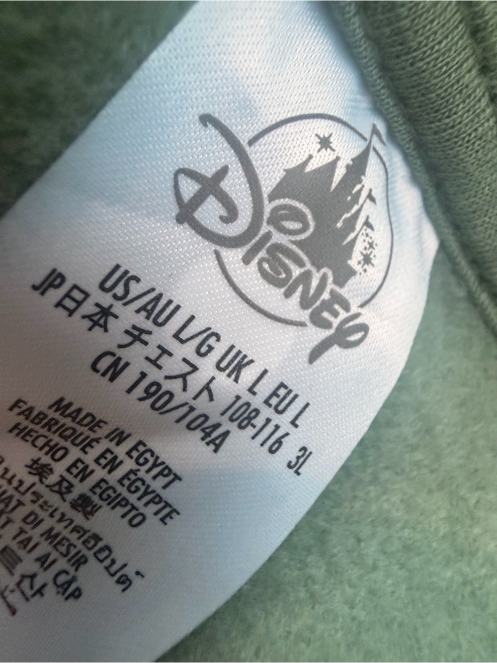 Disney Sage Green Pullover Hoodie with Black Disneyland Script - Picture 5 of 6